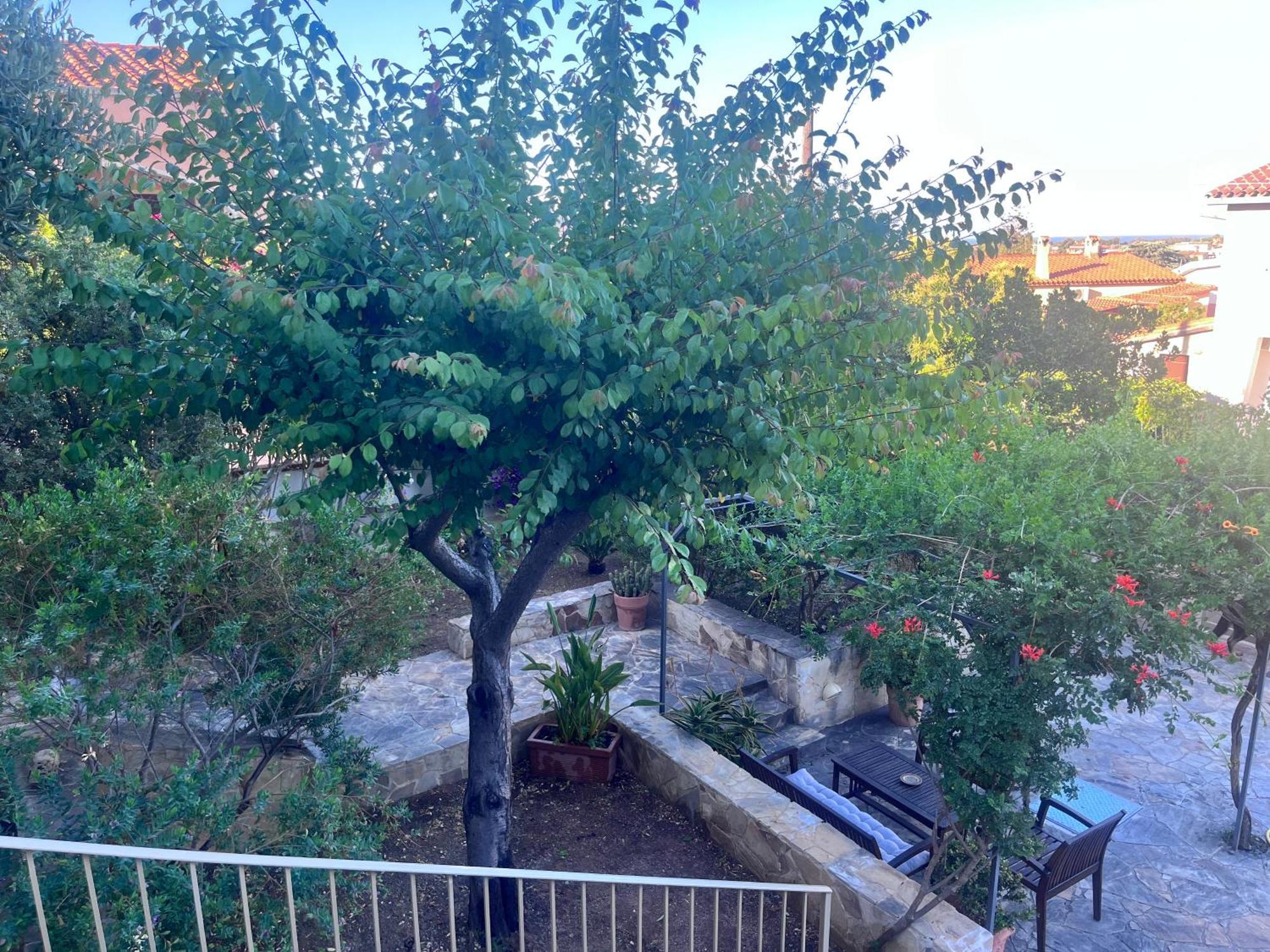 Villa Fatta Di Sogni Пула Екстериор снимка